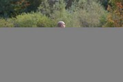 OTFL Gallery Image